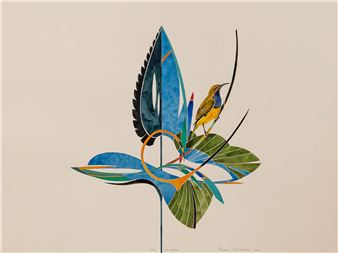 Roland Nancarrow: Bird Encounters - Cairns Art Gallery