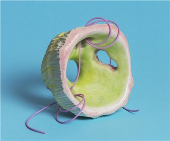 Lucy Stackpool: Climate Coral - Canberra Contemporary Art Space, Manuka