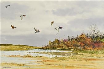 Ducks in Flight - Cyril Mulkernes