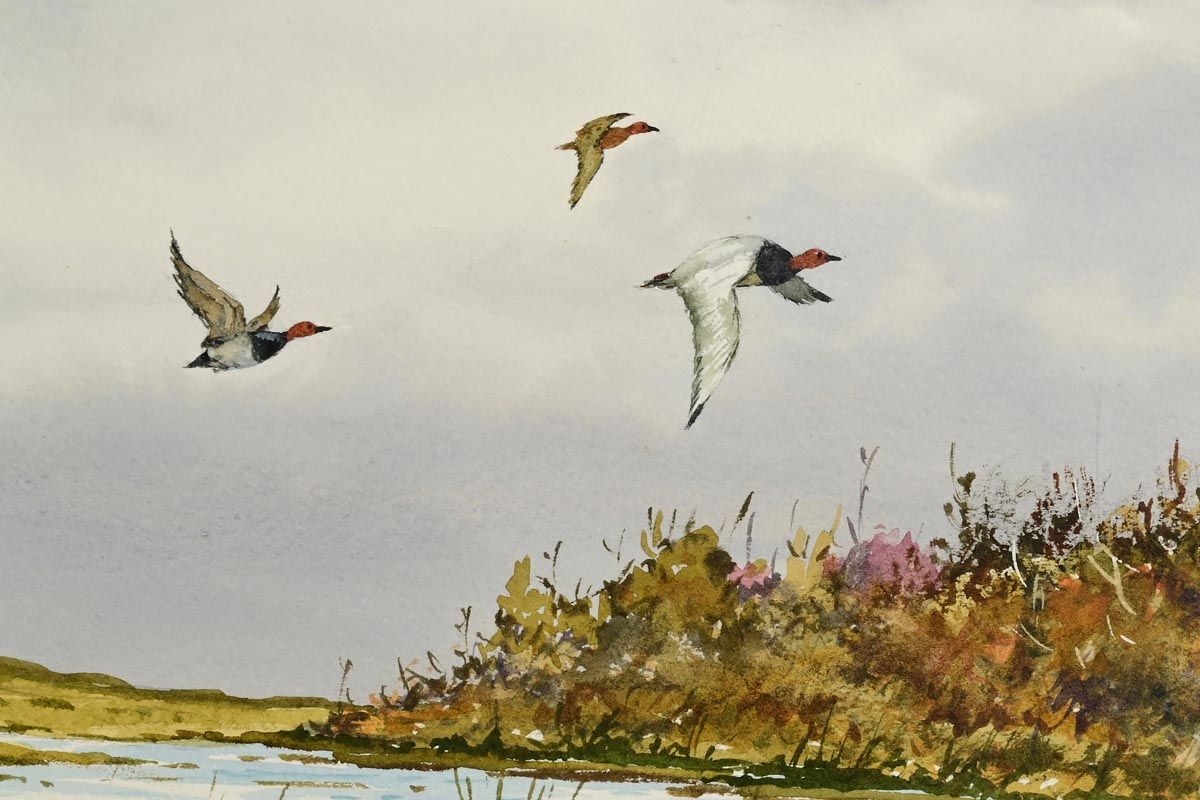 Artwork by Cyril Mulkernes, Ducks in Flight, Made of watercolour on paper
