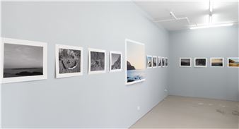 Derek Henderson: Go For A Walk - Bartley + Company Art