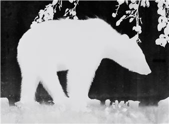 Winter Show - Edwynn Houk Gallery