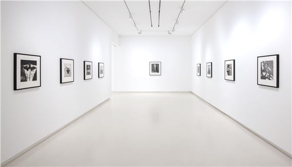 Robert Mapplethorpe: Elogio A La Sombra - Galería Elvira González