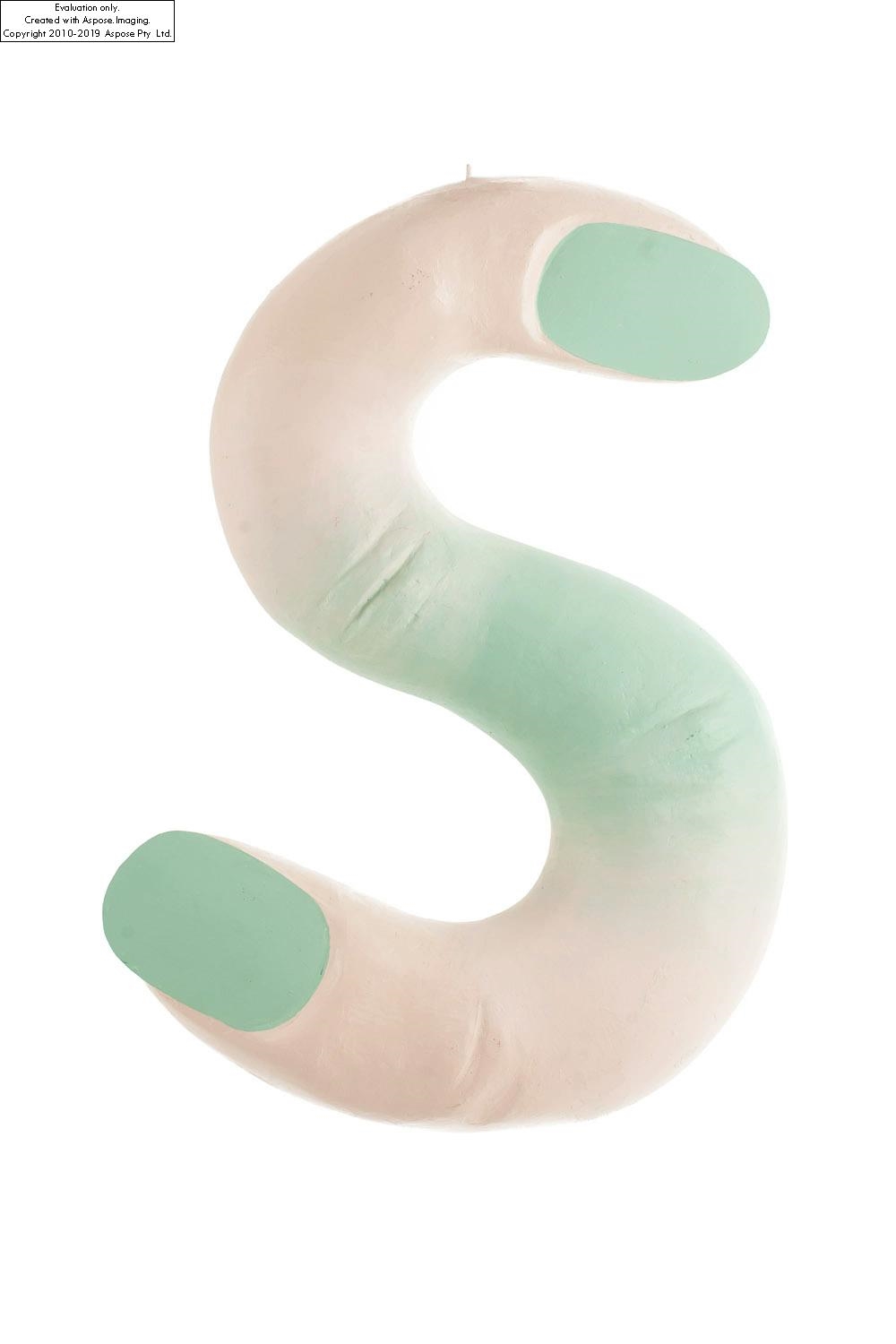 Artwork by Aleksandra Wasilkowska, Letter S from the series Alphabet, Made of acrylic, resin