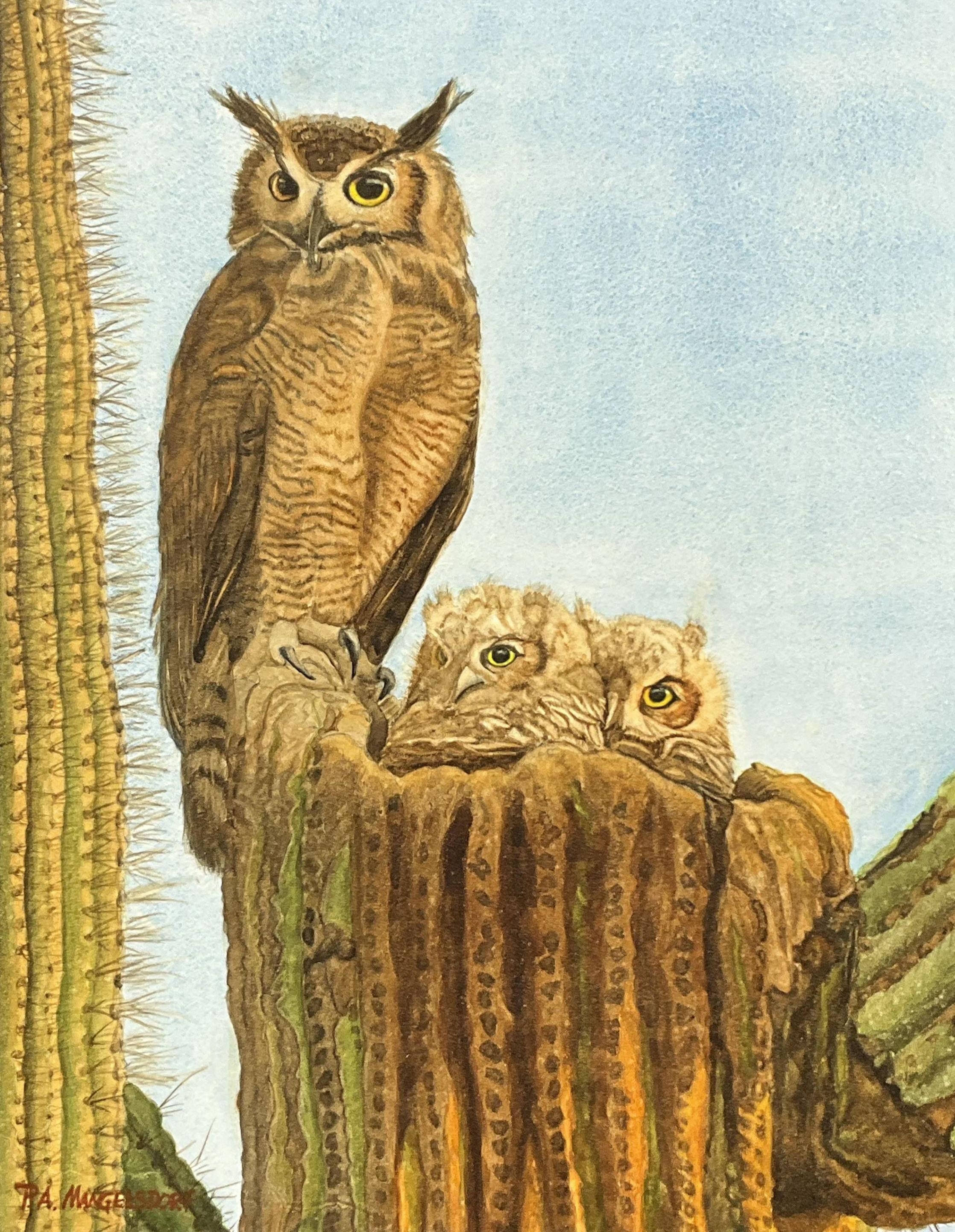 Pamela Mangelsdorf | Pamela Mangelsdorf Watercolor On Aquabord Owls ...