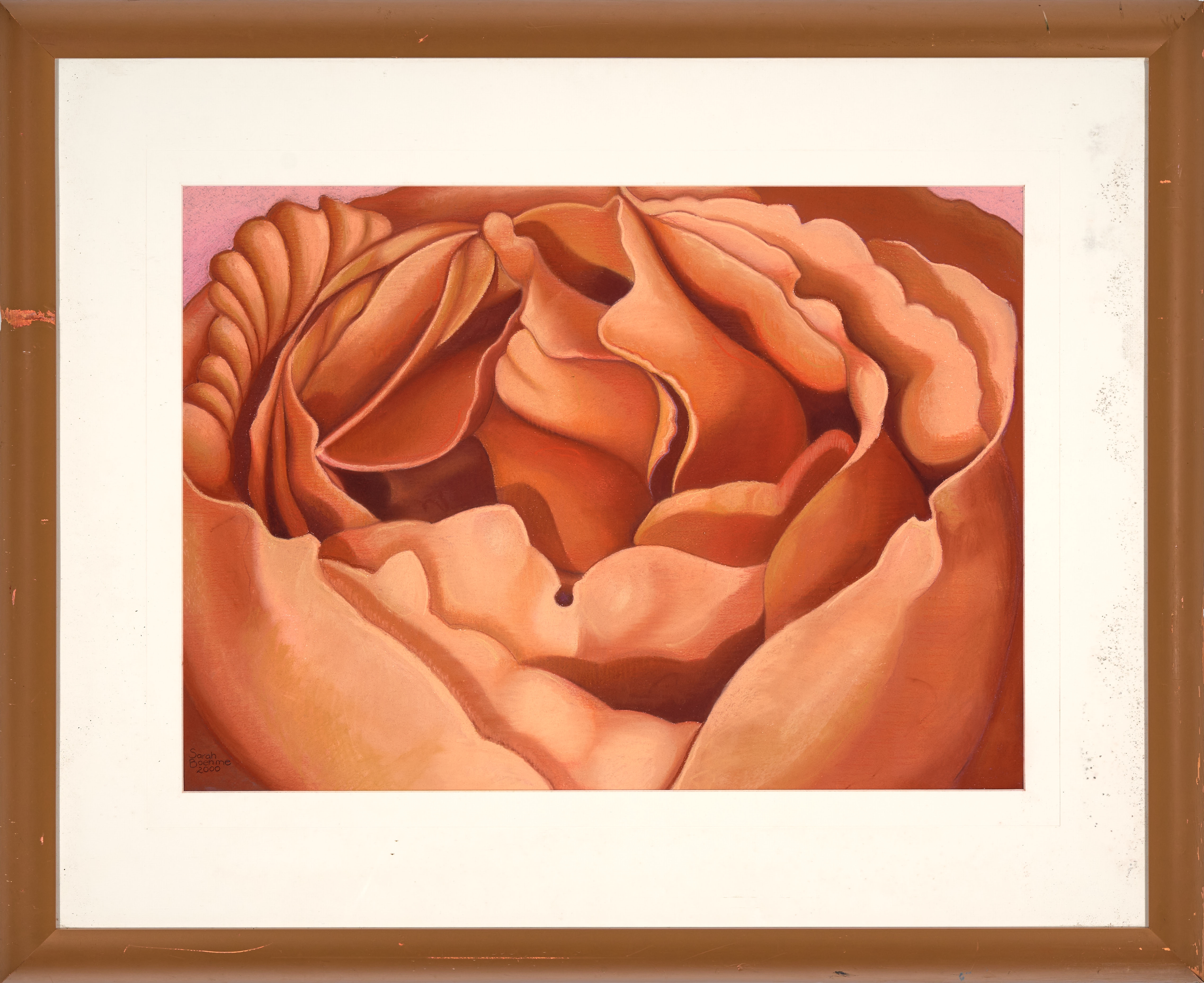 Artwork by Sarah Boehme, Peter's Rose, Made of pastel
