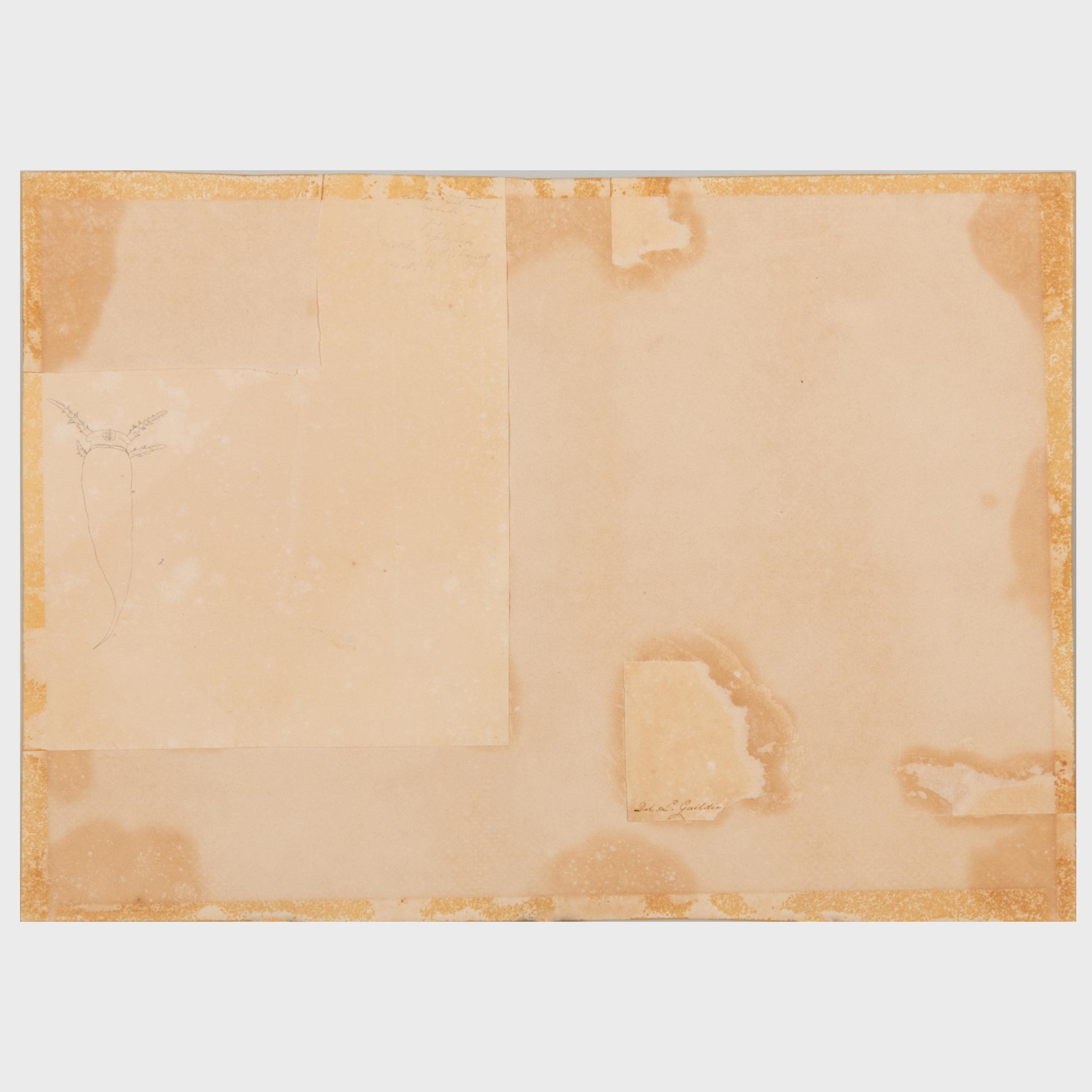 Artwork by Lansdown Guilding, Lamia Amputator, Made of watercolor on paper