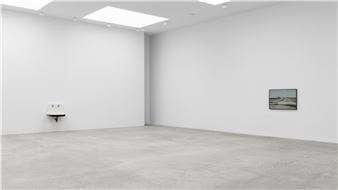 Vija Celmins & Robert Gober - Matthew Marks Gallery, Los Angeles (N Orange Grove)