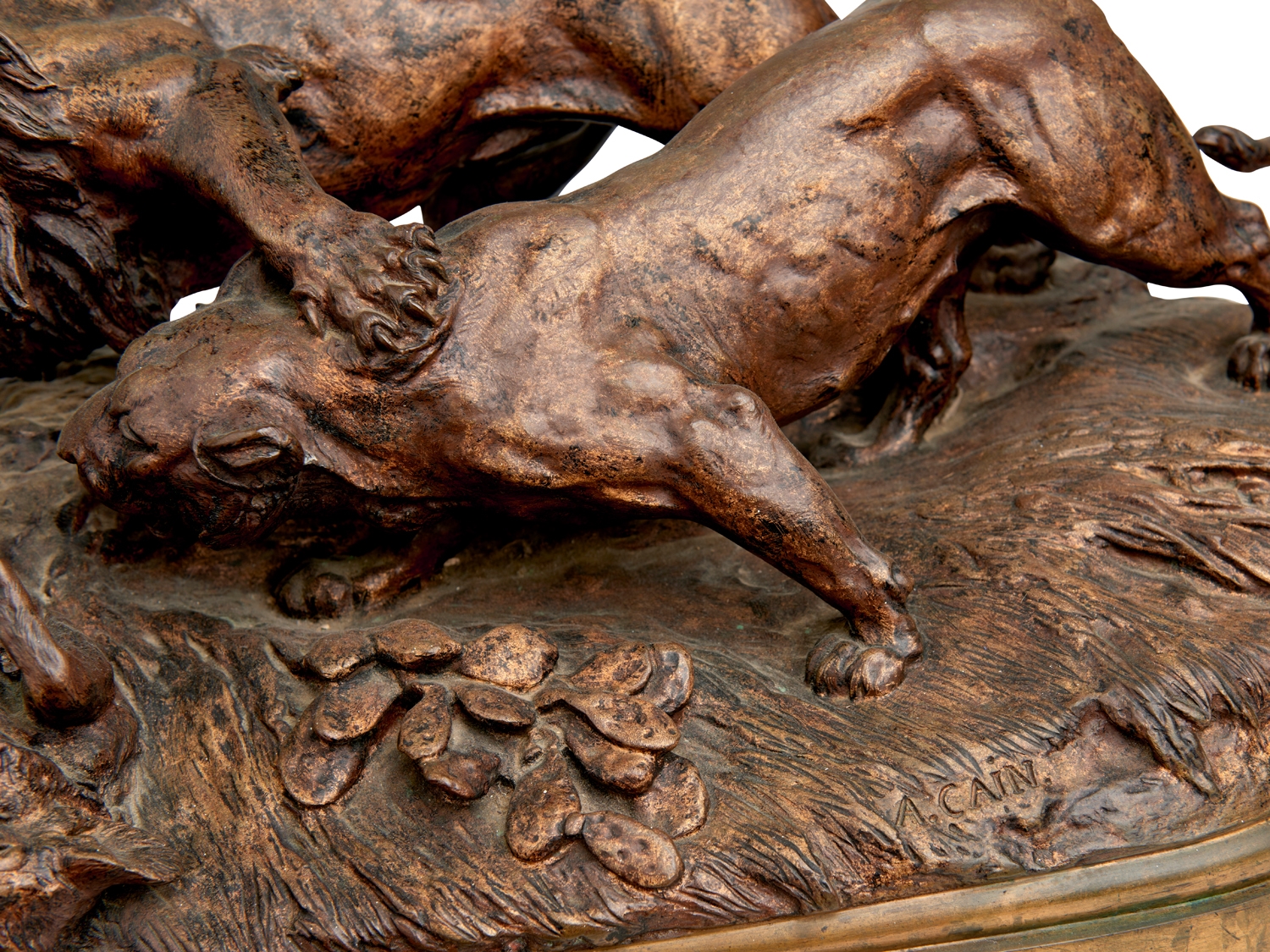 Auguste Nicholas Cain | 'Lion et lionne se disputant un sanglier' (19th ...