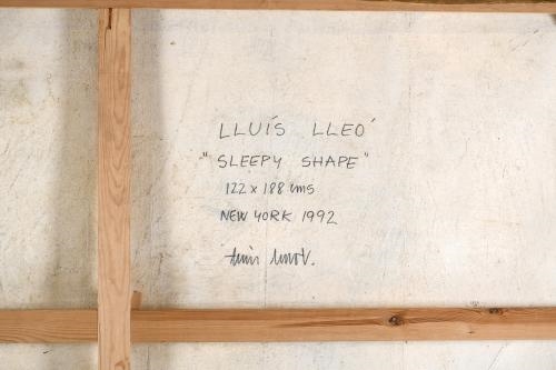 Artwork by Lluis Lleó, SLEEPY SHAPE, Made of Mixed media on canvas