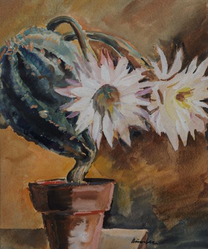 Mia Mnster | Stillleben: Blhender Kaktus (Echinopsis) | MutualArt