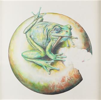 The frog - Corstiaan de Vries