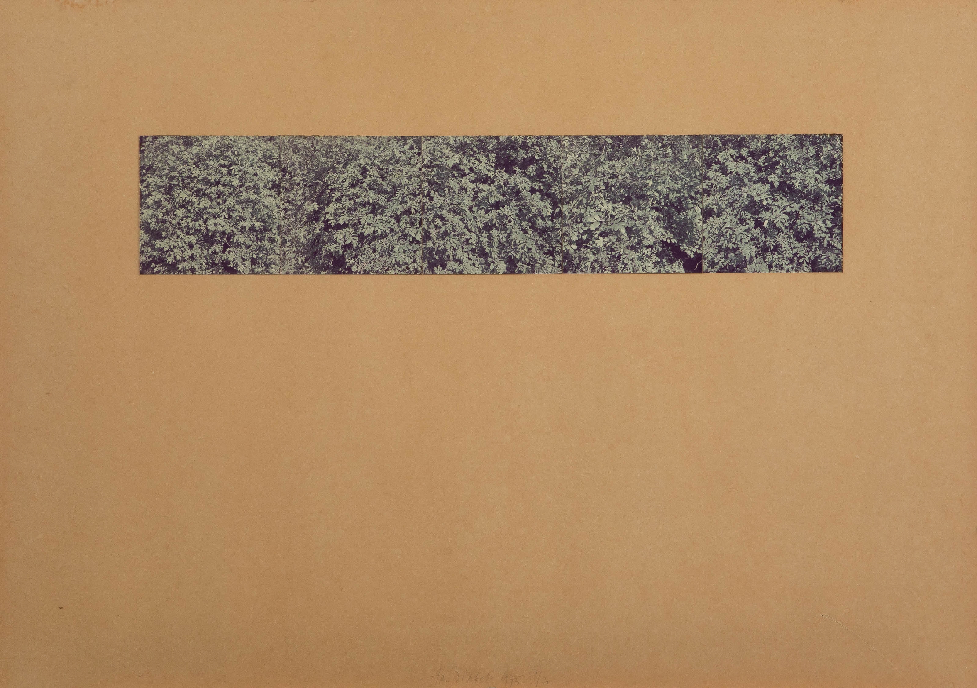 Artwork by Jan Dibbets, Untitled, 1975, Made of Colour photograph