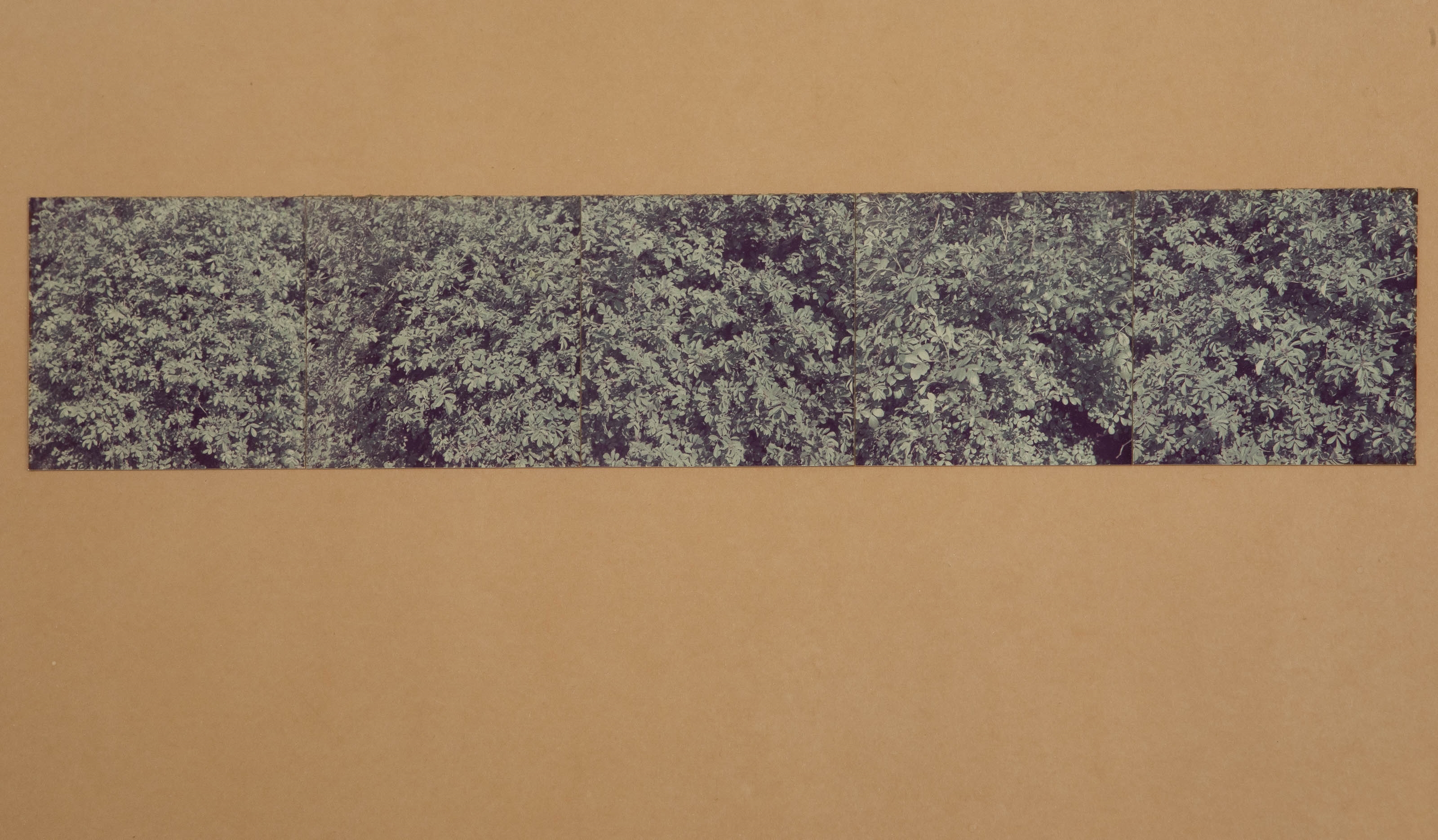 Artwork by Jan Dibbets, Untitled, 1975, Made of Colour photograph