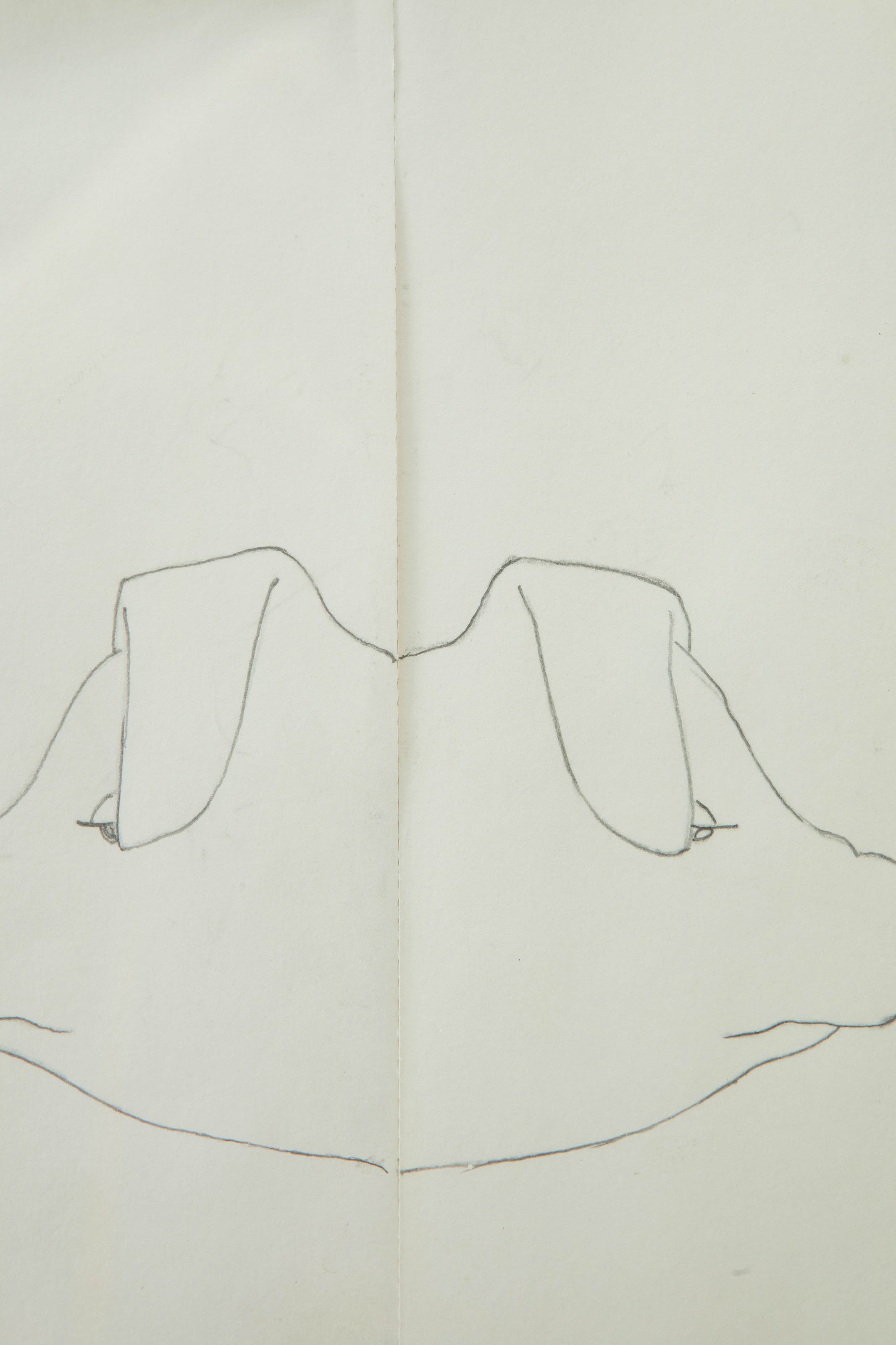 Artwork by Richard Artschwager, Untitled, 1992, Made of Pencil.