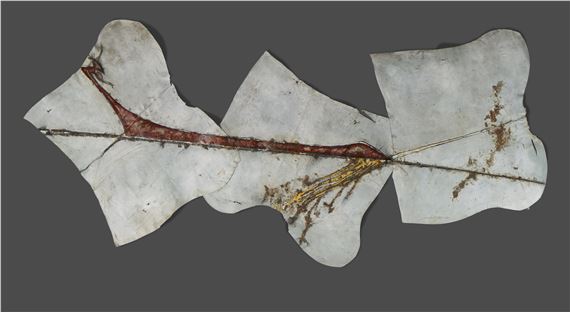 Sans Titre by Gilberto Zorio, Executed circa 1980