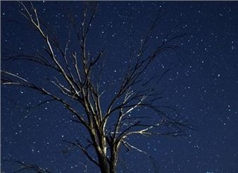 Black Sky - The Lawrence Wilson Art Gallery