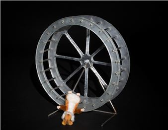 Please Hold: Regionale 23 - Ausstellungsraum Klingental