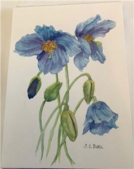 A Love Of Flowers - Dawyck Botanic Garden