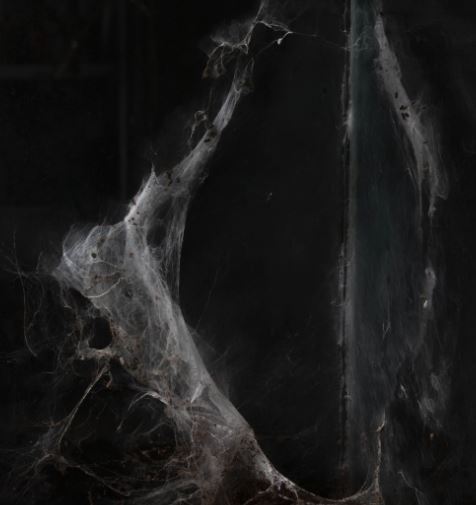 Daniel Dąbrowski: Cleaning the nests - Centre for Contemporary Art, Ujazdowski Castle