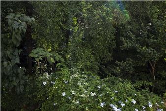 Mathelda Balatresi & Veronica Bisesti: Di fulmini, dame e altre storie - Madre, Museo d’Arte Contemporanea Donnaregina