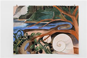 Exhibition "Aidan Koch:Tides and Trees" at 14a Gallery