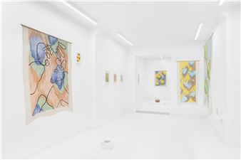 Toufan Hosseiny: Uncontrolled Bodies - Baronian Xippas, Brussels (Rue de la Concorde)