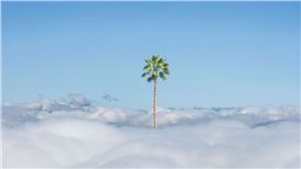 Creating New Realities
