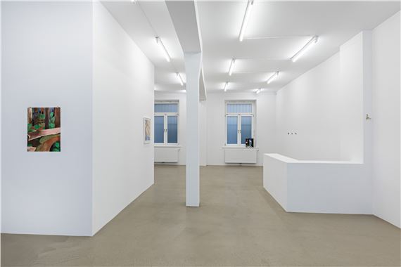 Aidan Koch: Tides and Trees - 14a