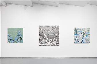 Kiwha Lee, Alex Puz, Shira Toren: No Light Without Shadows - Thierry Goldberg Gallery