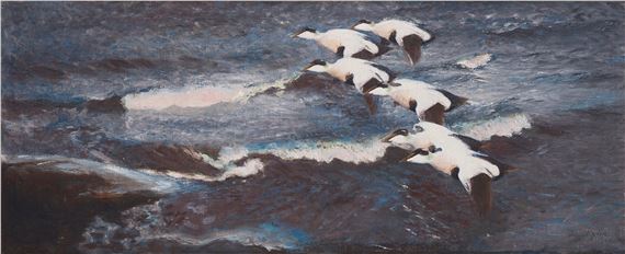 Eider ducks over the sea by Bruno Liljefors, dated 1900