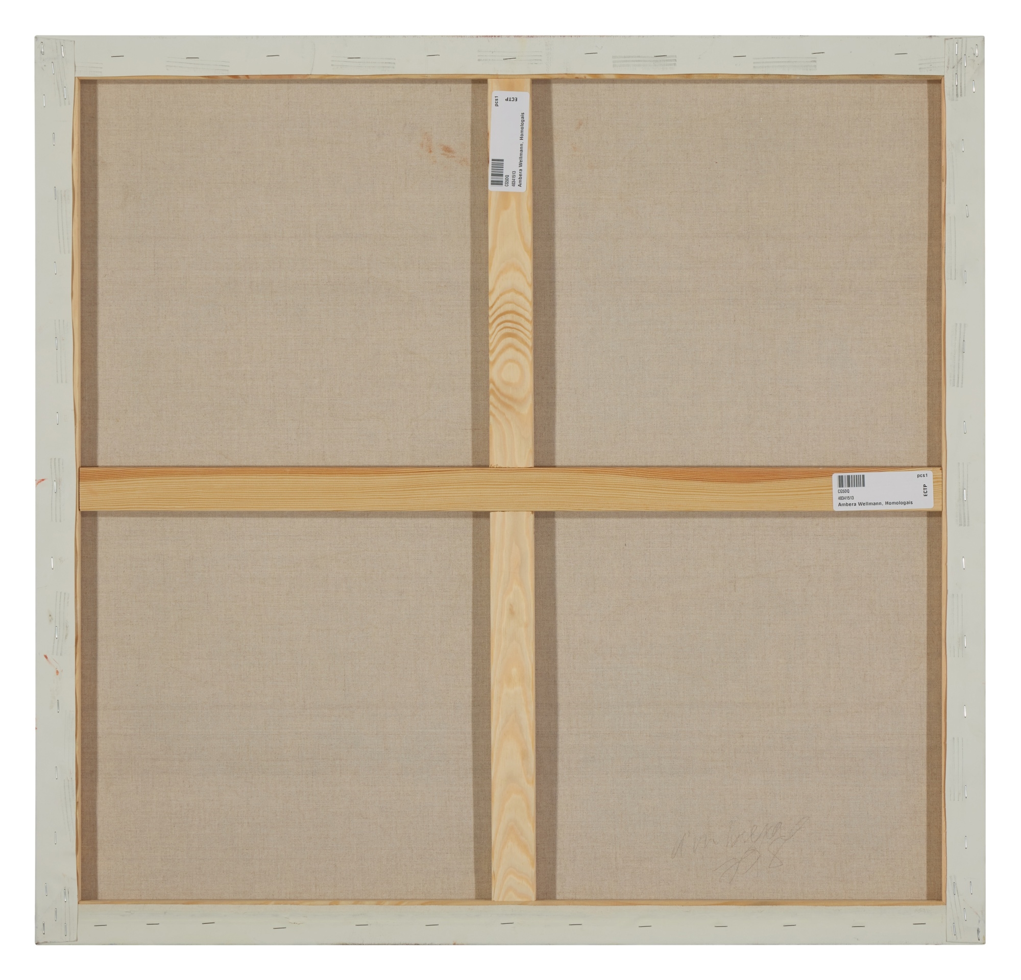 Artwork by Ambera Wellmann, Homologous, Made of pastel on linen