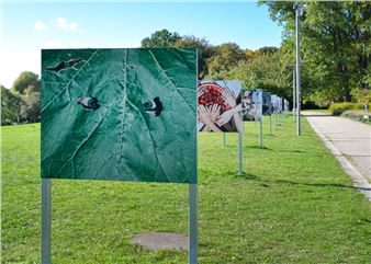 Jamal Cazaré: Kraut & Rüben - Kunsthalle Rostock