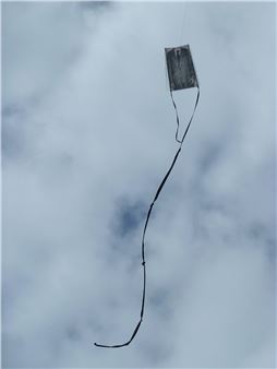 That which explodes is not the sun - Rolf Art