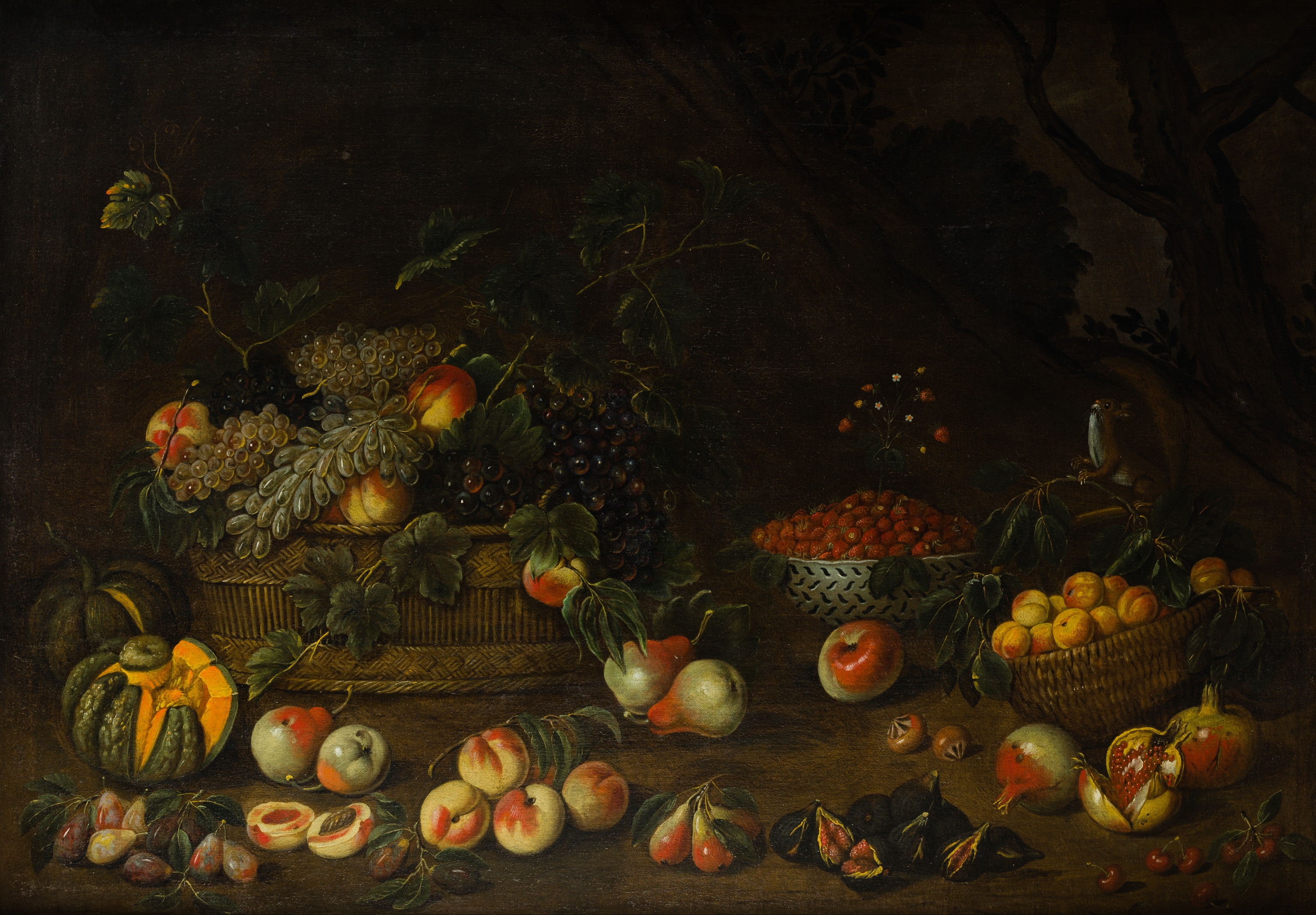 Angelo Maria Rossi | Naturaleza muerta con frutas y ardilla | MutualArt
