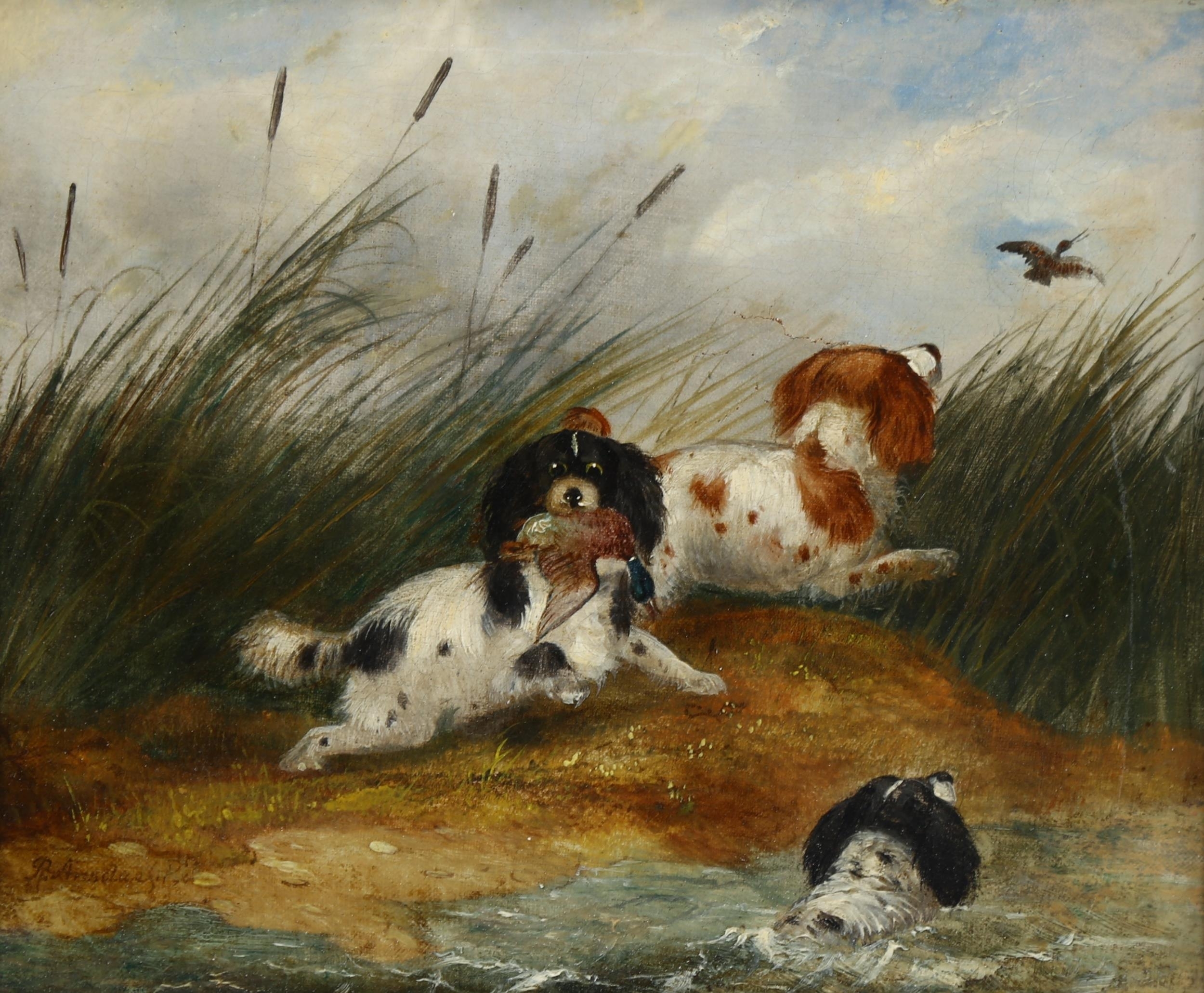George Armfield | Spaniels and ducks (19th Century) | MutualArt