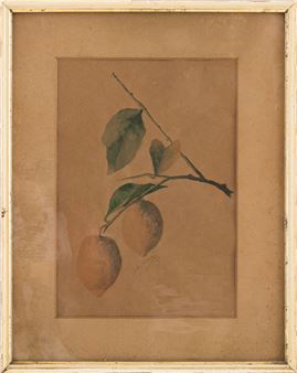 Limoni - Delia Whitaker