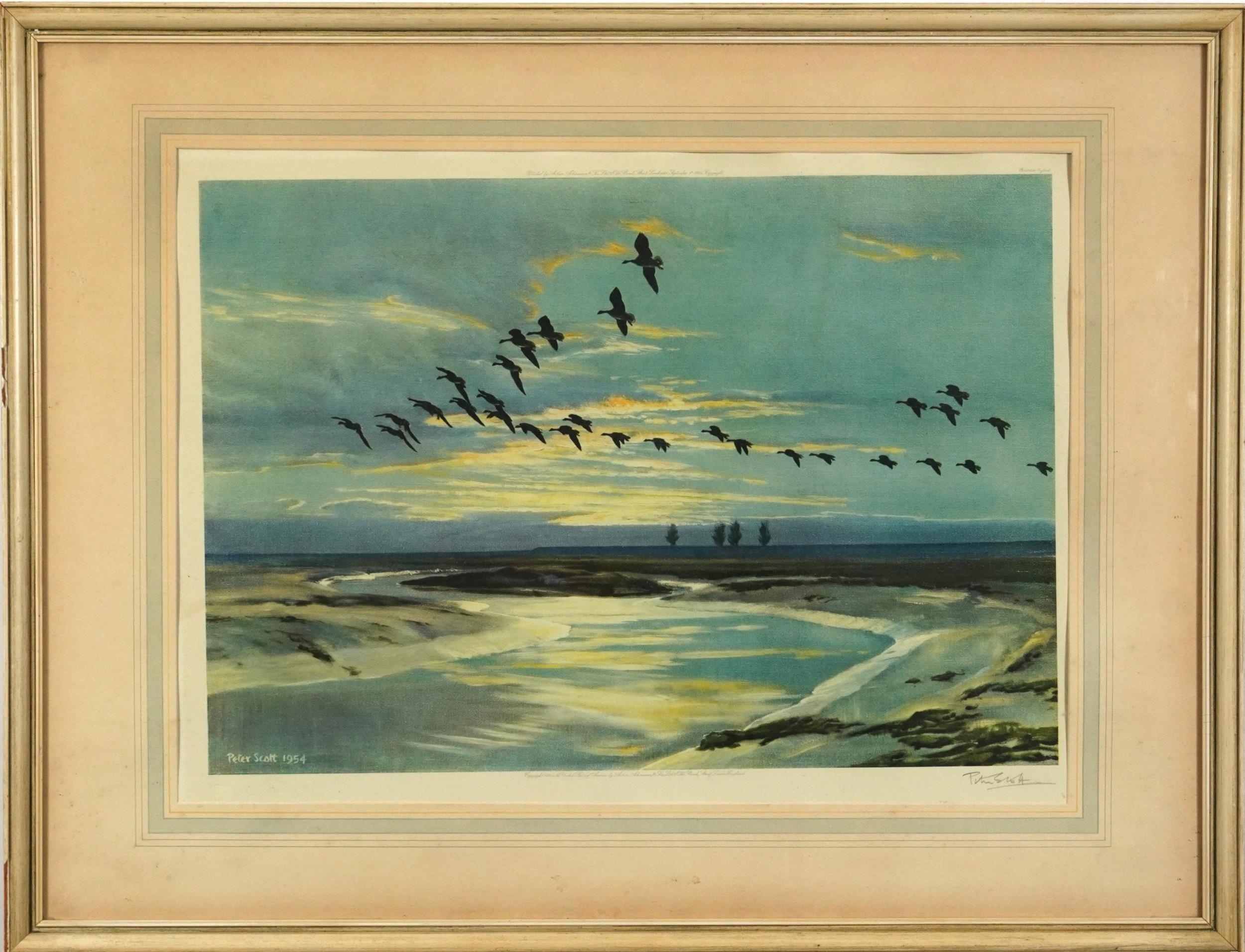 Peter Markham Scott | Coastal scene with birds in flight (1955) | MutualArt