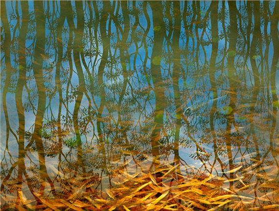 Lin Onus | Two Fish, Dingo Springs | MutualArt