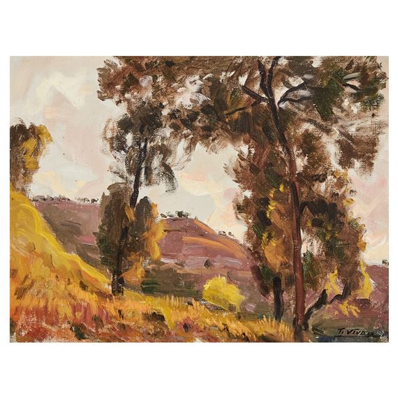 Paisaje by Tomàs Viver  Aymerich