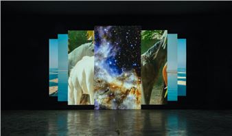 34th Bienal de São Paulo Opens in Arles, France