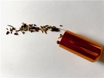 Irina Novarese: While We Sink: [The Word Is On Flowers] - Cànem Galeria