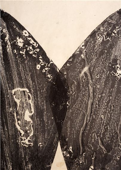 Hermann Glöckner, Zwei Flügel, übereinander by Hermann Glöckner, 1968