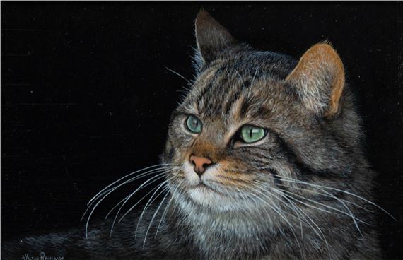 "Vibrisse" - Marco Ramasso