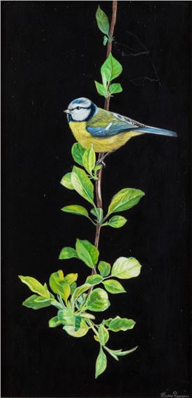 "Uccellino sul ramo" - Marco Ramasso