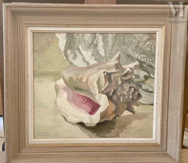 Marcelin Flandrin Coquillage MutualArt