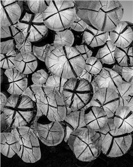 Nico Krijno: The Constellation - The Ravestijn Gallery