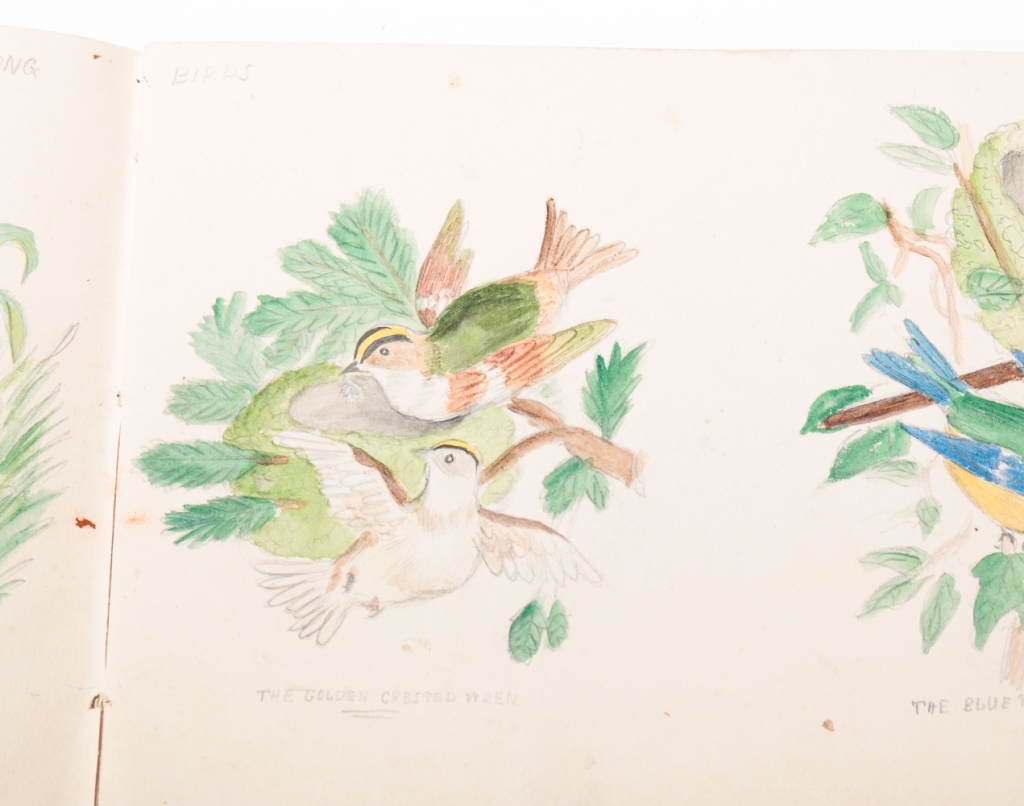 Artwork by Henry Goulburn, "DRAWING BOOK" BY HENRY GOULBURN., Made of Watercolor and pencil