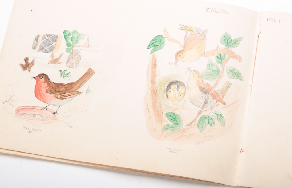 Artwork by Henry Goulburn, "DRAWING BOOK" BY HENRY GOULBURN., Made of Watercolor and pencil