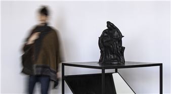 João Queiroz & Francisco Tropa - Galerie Jocelyn Wolff, Paris (Romainville)